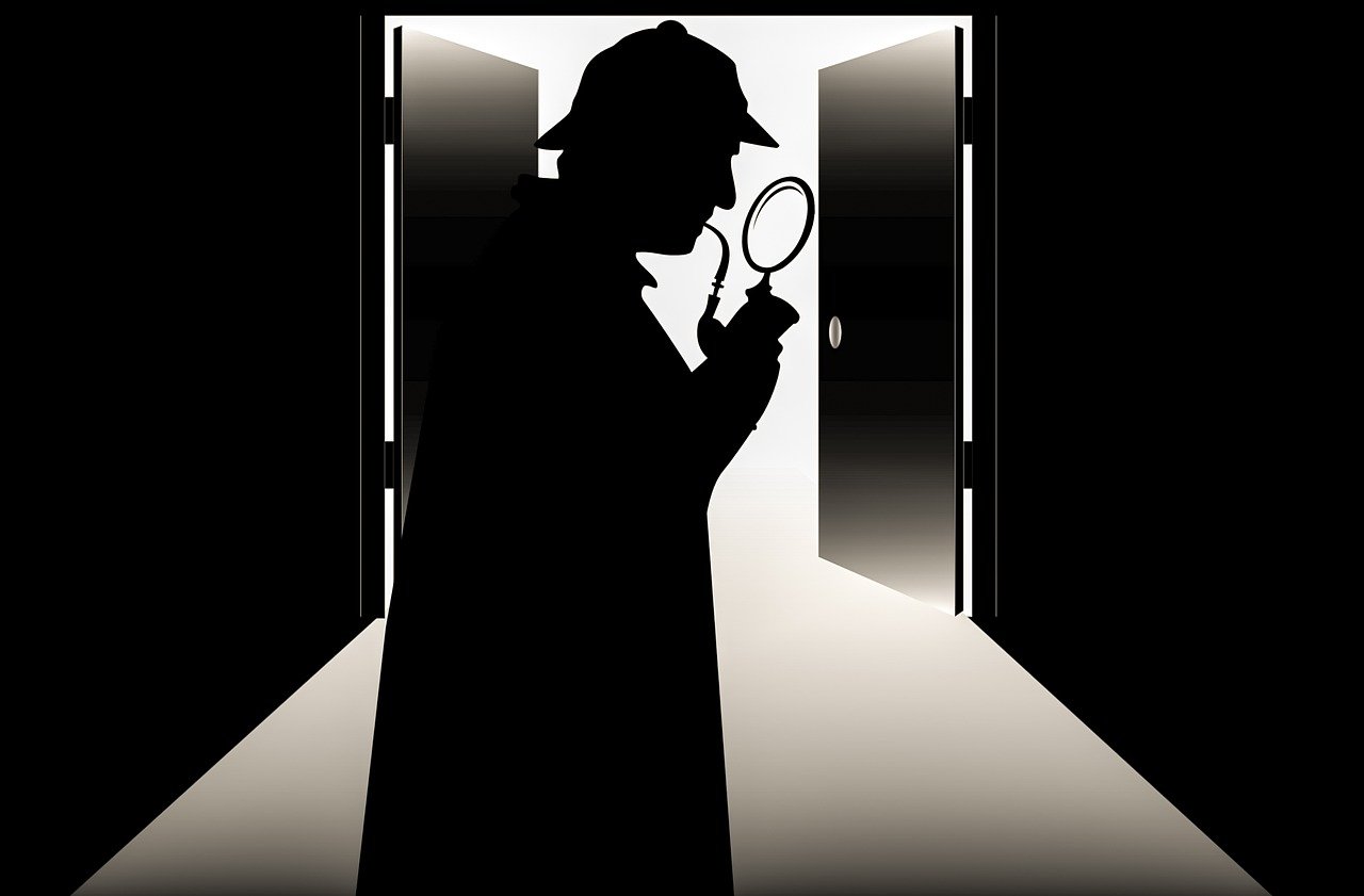 Necesito Un Detective Privado Gratis Comment devenir un détective privé ? - Editions complexe.fr
